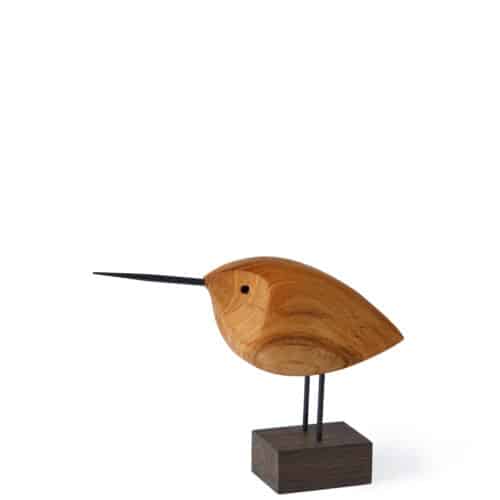 Beak Bird